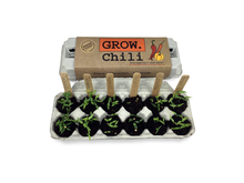 Load image into Gallery viewer, GROW Chili Garden
