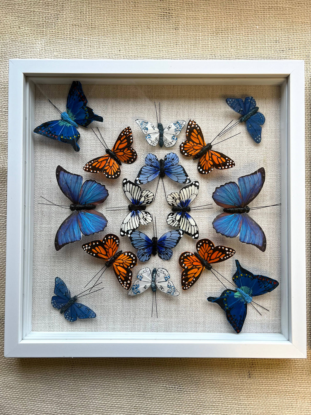 Butterfly shadow box art: Blue & Orange Butterflies