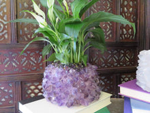 Load image into Gallery viewer, Crystal Point Plant Holder -Crystal Quartz
