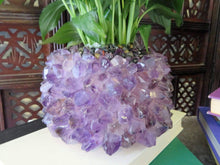 Load image into Gallery viewer, Crystal Point Plant Holder -Crystal Quartz
