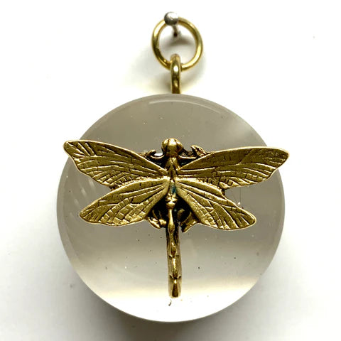Museum Bee - Dragonfly on Orb