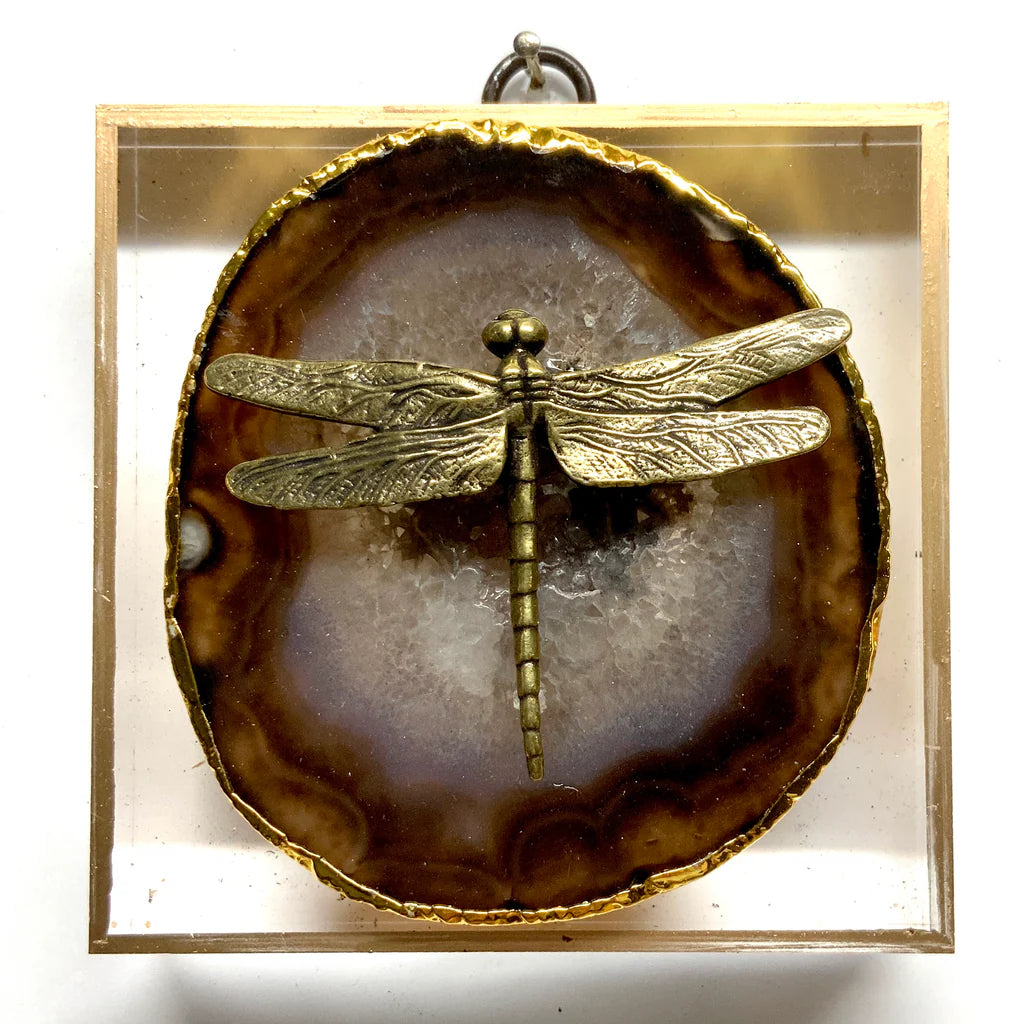 Museum Bee-dragonfly & Agate on Acrylic