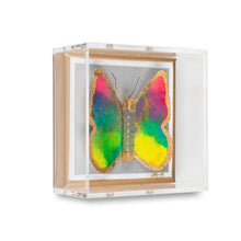 Load image into Gallery viewer, Happy Butterfly-Wexel Art
