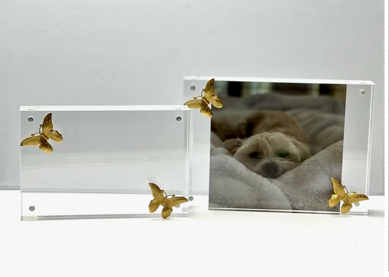 Butterfly acrylic Frame - 4x6