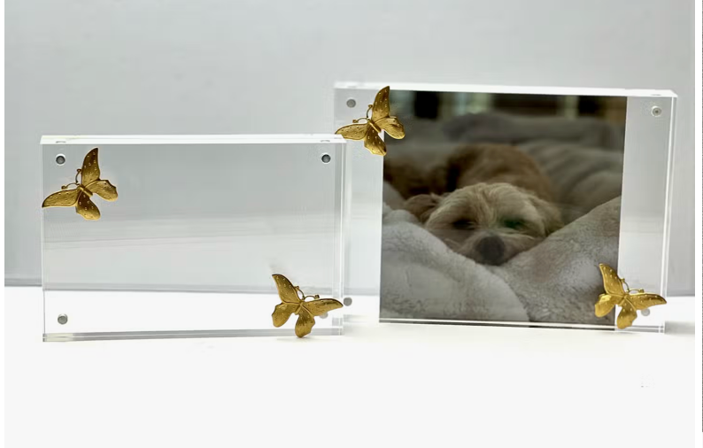 Butterfly acrylic Frame - 5x7