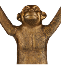 Load image into Gallery viewer, Abu Monkey Planter/Bottle holder
