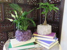 Load image into Gallery viewer, Crystal Point Plant Holder -Crystal Quartz
