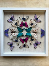 Load image into Gallery viewer, Butterfly shadow box art: Blue &amp; Orange Butterflies

