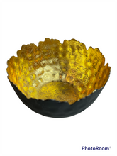 Load image into Gallery viewer, Lilly Voda Bowl
