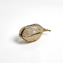 Load image into Gallery viewer, Pod Sculpture- Champagne
