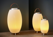 Load image into Gallery viewer, Synergy 35 S: speaker, lamp &amp; wine cooler
