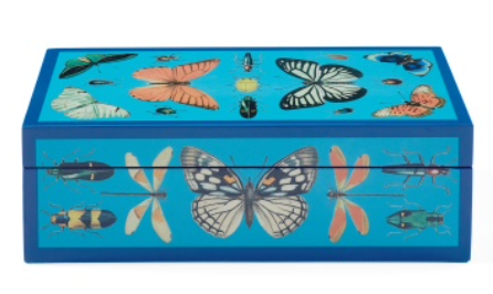 Lacquer Botanist Box - Small