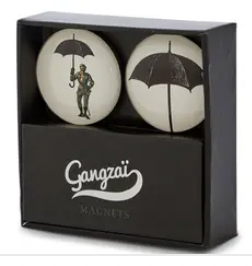 Paraking Set of 2 Magnets