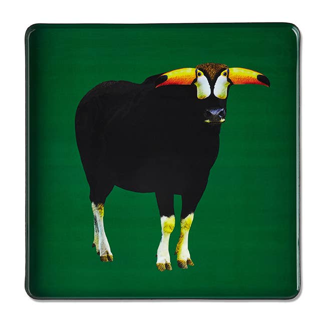 Torotoucan Squared Tray