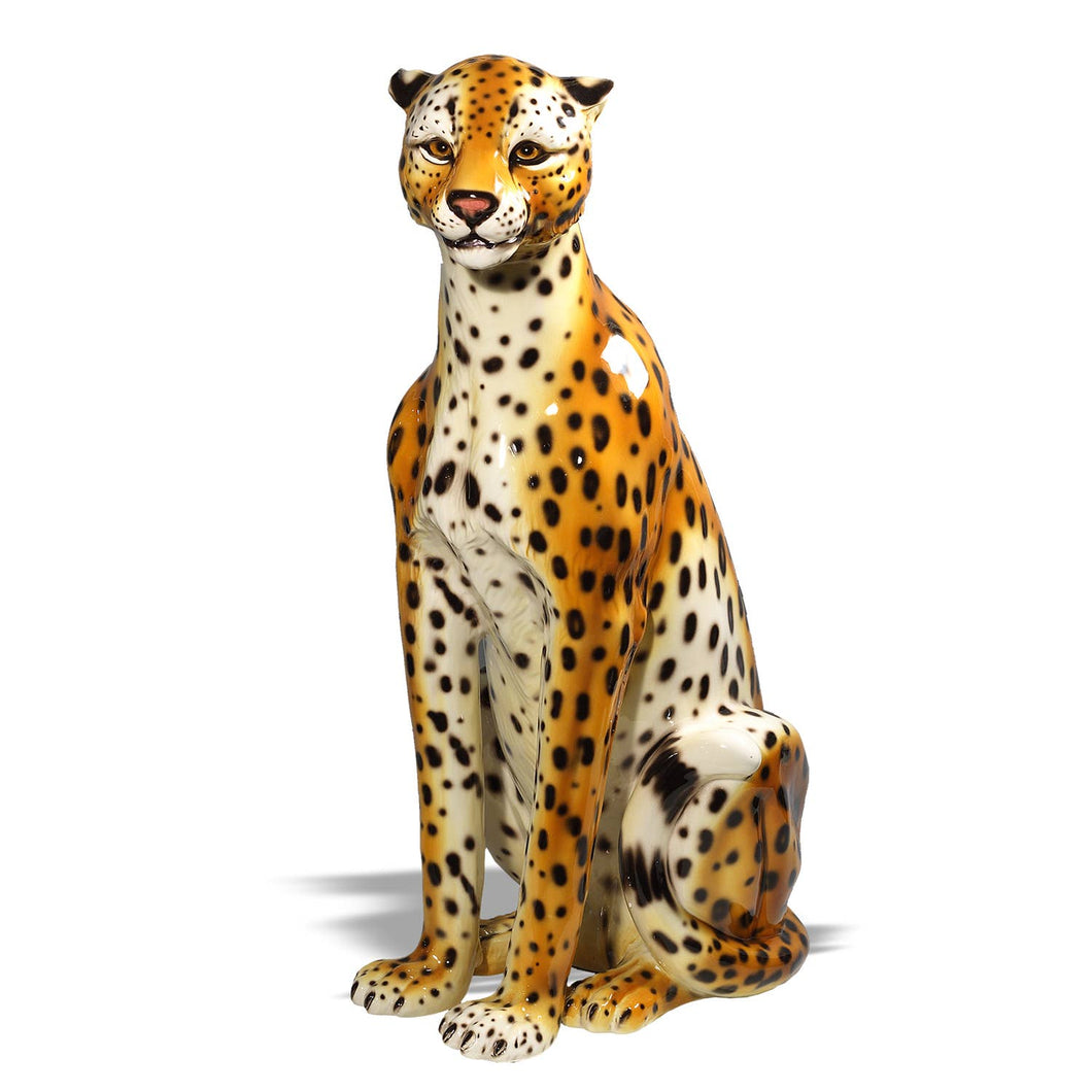 Cheetah Safari standing 31