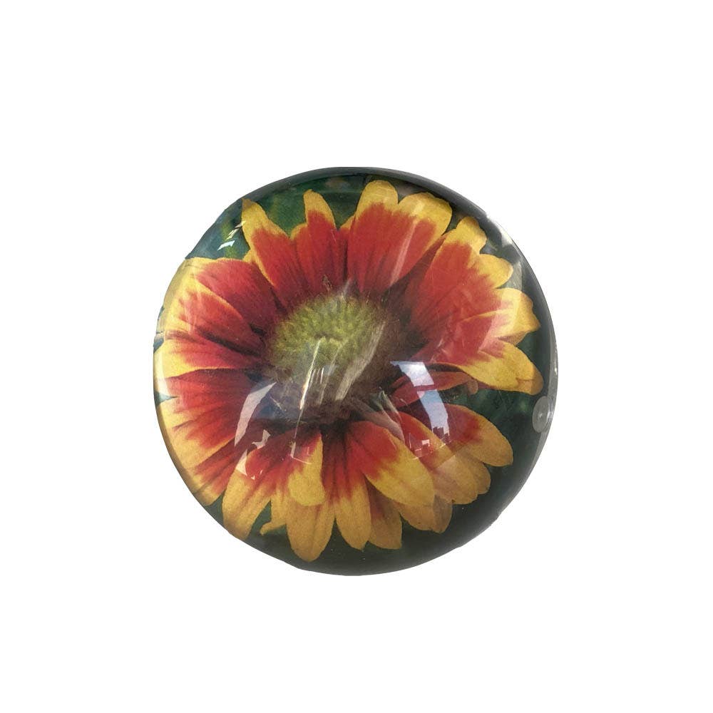 Sphere Magnet Frame 3
