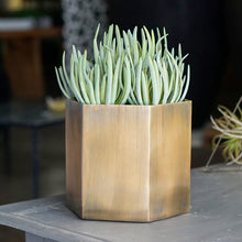 Load image into Gallery viewer, Hex Planter
