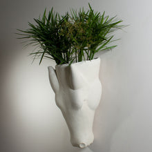 Load image into Gallery viewer, Equus Wall Vase

