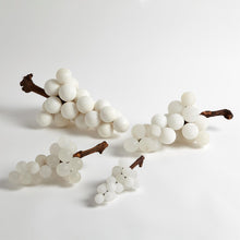 Load image into Gallery viewer, Bella Grapes - Alabaster - Medium
