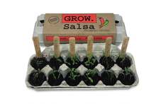 Load image into Gallery viewer, GROW Salsa Garden
